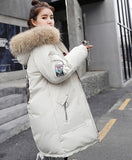 2019 Winter Jacket Women Fur Hood