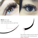 New All Styles Flat Ellipse Eyelashes Extensions