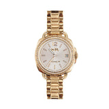 Authentic Original & Brand New COACH  ULTRA  STRAP WATCH 14502589/14502951