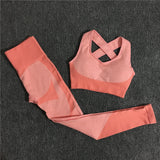 Women Seamless  Set 2 Piece Set