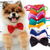 Pet Necklace Adjustable Strap