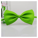 Pet Necklace Adjustable Strap