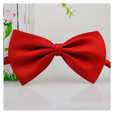 Pet Necklace Adjustable Strap