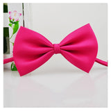 Pet Necklace Adjustable Strap