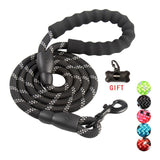 Durable Nylon Dog Leash