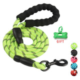 Durable Nylon Dog Leash