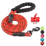 Durable Nylon Dog Leash