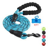 Durable Nylon Dog Leash