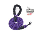 Durable Nylon Dog Leash