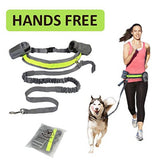 Perfect Walking Hands Free Dog Leash Set