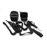 Perfect Walking Hands Free Dog Leash Set