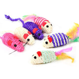 Cat Teaser Toy Pet