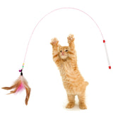 Cat Teaser Toy Pet