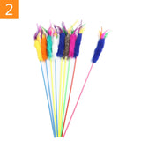 1PC Teaser Feather Toys