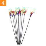 1PC Teaser Feather Toys