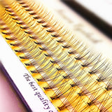 1 Box 60 Bundles 10D/3D Eyelash Extensions