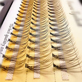 1 Box 60 Bundles 10D/3D Eyelash Extensions