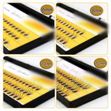 1 Box 60 Bundles 10D/3D Eyelash Extensions