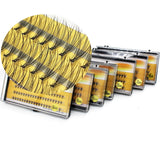 1 Box 60 Bundles 10D/3D Eyelash Extensions